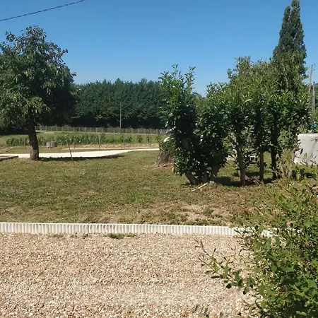 Les Amis De Beauval Villa Seigy Exterior photo